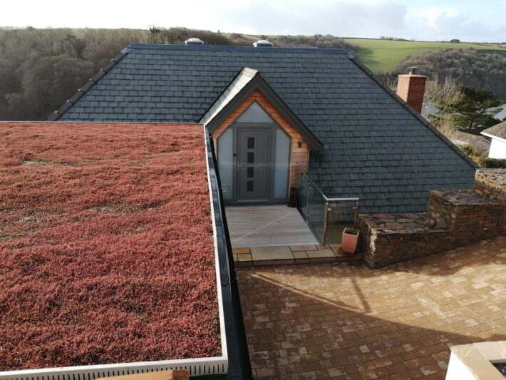 Sedum Roof